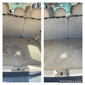 Photo Badger Mobile Wash