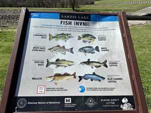 Photo Mathies Park Recreation Area