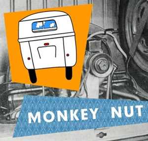 Photo Monkey Nut