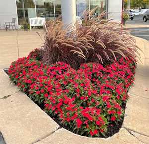 Photo Inver Grove Toyota