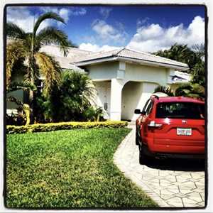 Photo Imports Collection