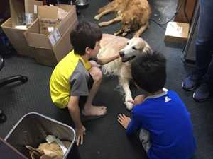 Photo Honolulu Bimmer Service