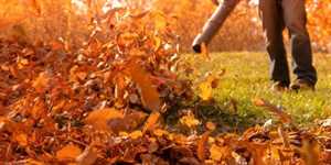 Photo Leaf & Snow Removal Guys