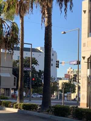Photo Marketplace Parking Structure
