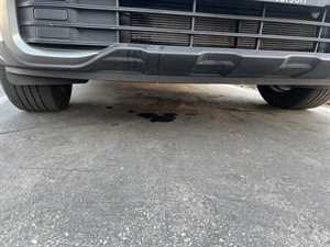 Photo Olympic Smog Lube and Tune