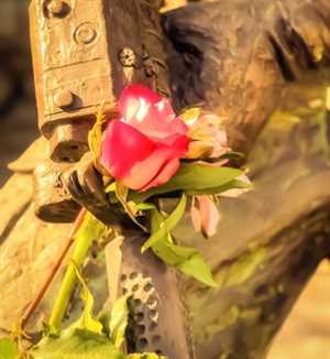 Photo Nevada State Veterans Memorial