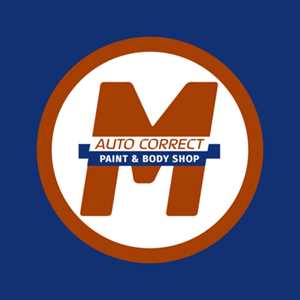 Photo Auto Correct Paint and Body