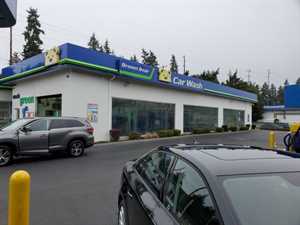 Photo Brown Bear Car Wash