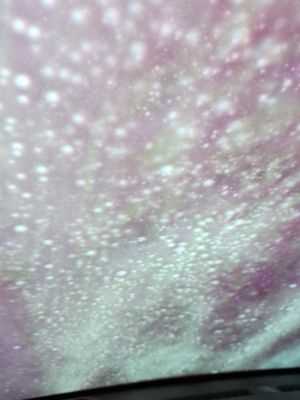 Photo Fast & Friendly Express Car Wash