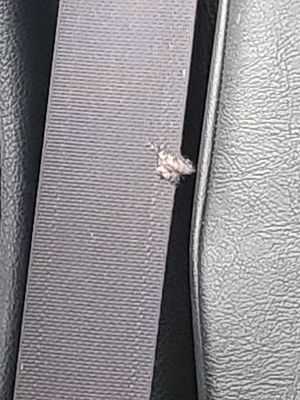 Photo Doral’s Auto Repair