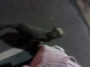 Photo Carr Bazaar Auto Sales