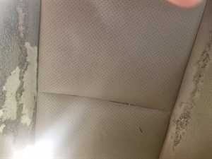 Photo Art’s Upholstery