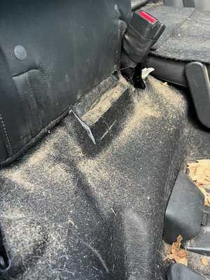 Photo Mickey’s Auto Detail