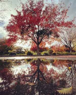 Photo Mace Park & Ride