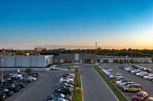 Photo Jaguar Buffalo