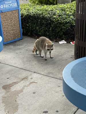 Photo North Park Place Economy Lot