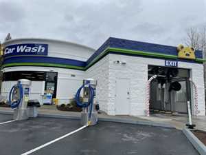 Photo Brown Bear Car Wash