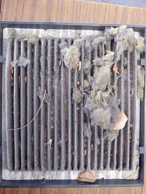 Photo Stapley’s Garage