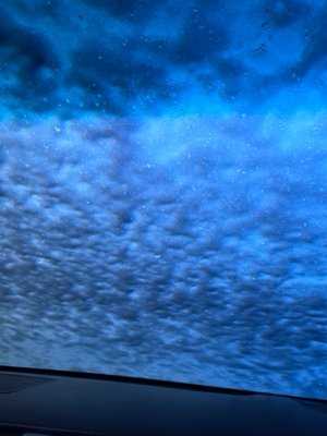 Photo Top Dog Express