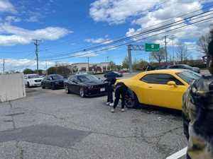 Photo Almond Cleaning Services