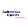 Photo Automotive Experts