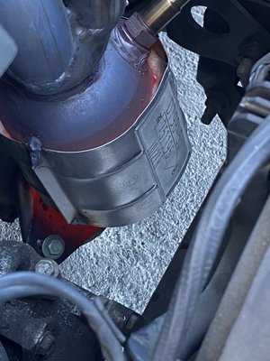 Photo Babes Mufflers