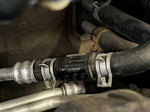 Photo Service with Aloha