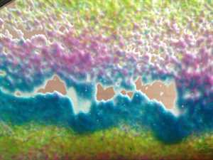 Photo Don’s Car Wash