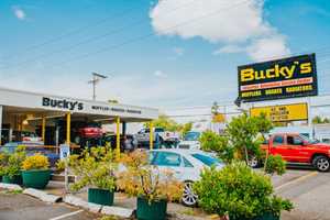 Photo Bucky’s Complete Auto Repair